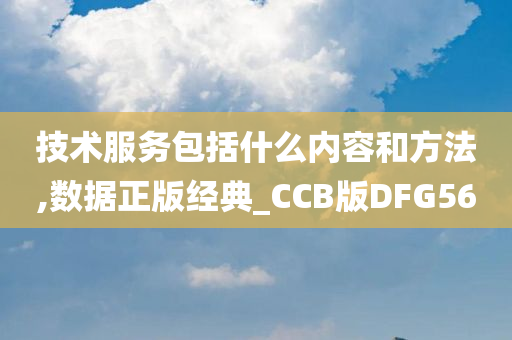 技术服务包括什么内容和方法,数据正版经典_CCB版DFG56