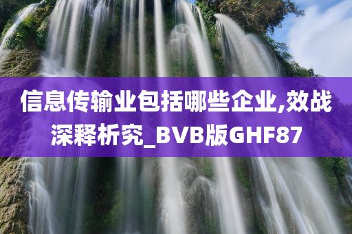 信息传输业包括哪些企业,效战深释析究_BVB版GHF87