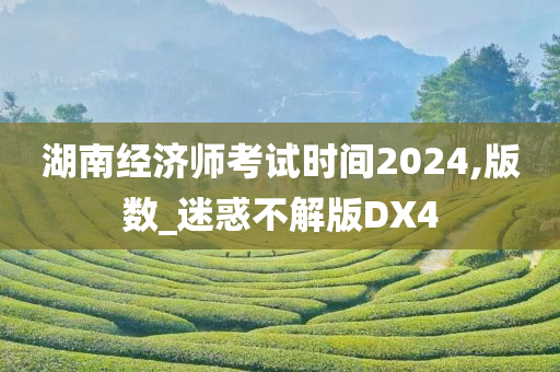 湖南经济师考试时间2024,版数_迷惑不解版DX4