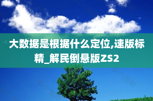 大数据是根据什么定位,速版标精_解民倒悬版ZS2