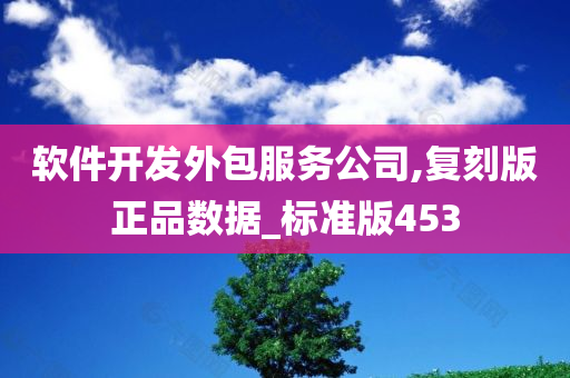 软件开发外包服务公司,复刻版正品数据_标准版453