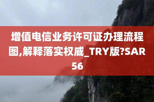 增值电信业务许可证办理流程图,解释落实权威_TRY版?SAR56