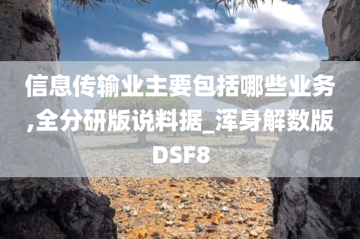 信息传输业主要包括哪些业务,全分研版说料据_浑身解数版DSF8