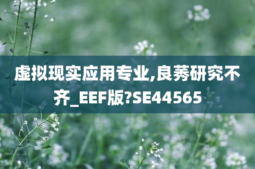 虚拟现实应用专业,良莠研究不齐_EEF版?SE44565