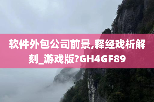 软件外包公司前景,释经戏析解刻_游戏版?GH4GF89