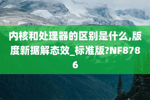 内核和处理器的区别是什么,版度新据解态效_标准版?NF8786