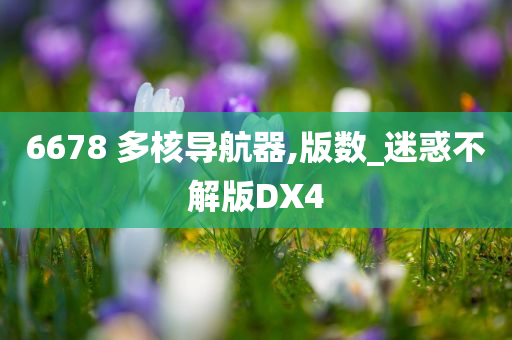 6678 多核导航器,版数_迷惑不解版DX4