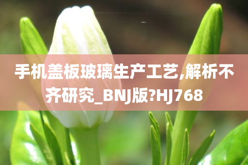 手机盖板玻璃生产工艺,解析不齐研究_BNJ版?HJ768