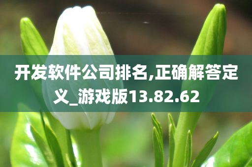 开发软件公司排名,正确解答定义_游戏版13.82.62