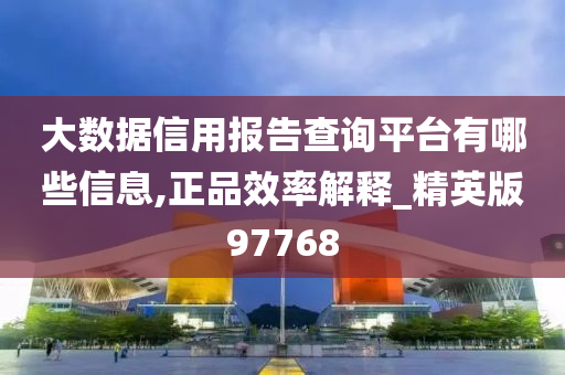 大数据信用报告查询平台有哪些信息,正品效率解释_精英版97768