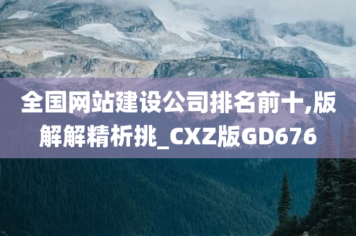 全国网站建设公司排名前十,版解解精析挑_CXZ版GD676