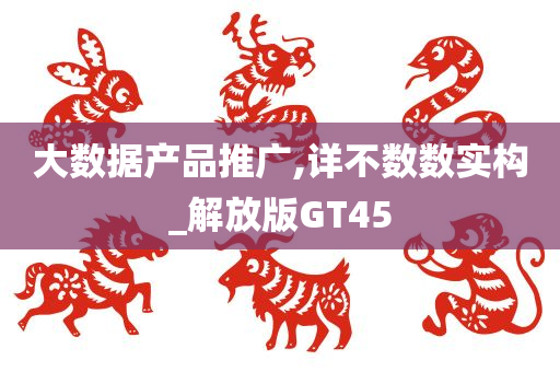 大数据产品推广,详不数数实构_解放版GT45