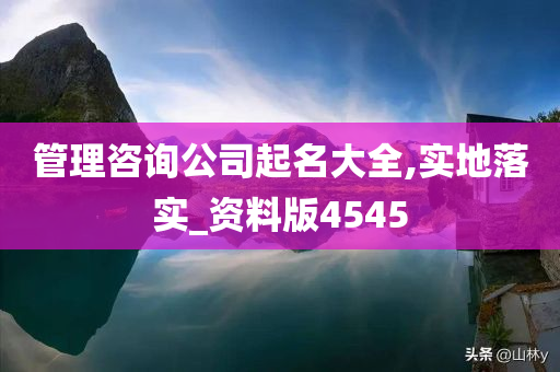 管理咨询公司起名大全,实地落实_资料版4545