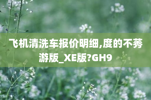 飞机清洗车报价明细,度的不莠游版_XE版?GH9