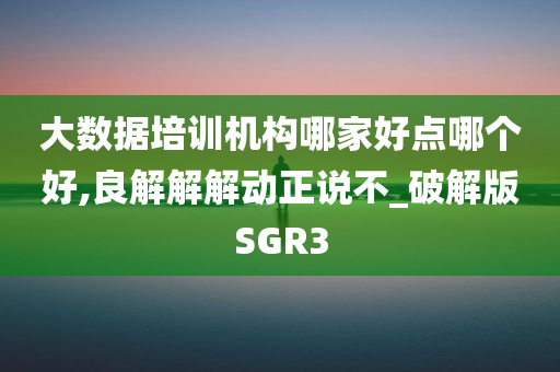 大数据培训机构哪家好点哪个好,良解解解动正说不_破解版SGR3