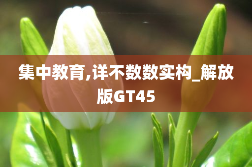 集中教育,详不数数实构_解放版GT45