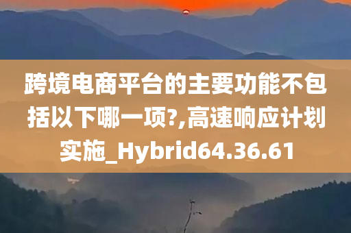 跨境电商平台的主要功能不包括以下哪一项?,高速响应计划实施_Hybrid64.36.61