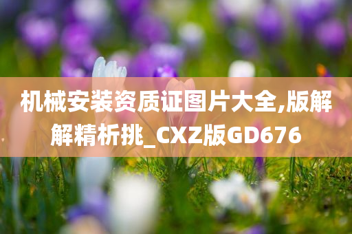 机械安装资质证图片大全,版解解精析挑_CXZ版GD676