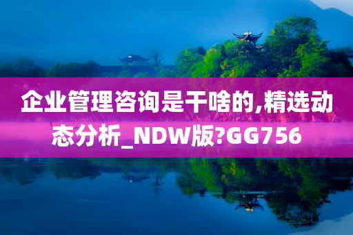 企业管理咨询是干啥的,精选动态分析_NDW版?GG756