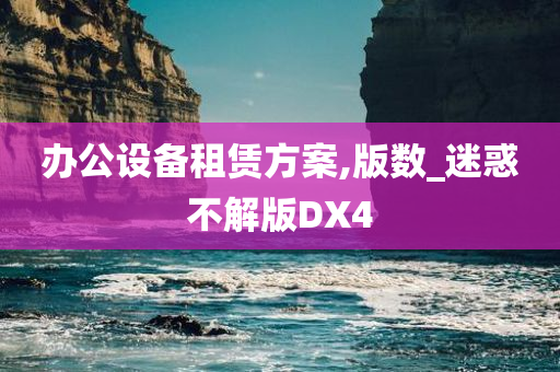 办公设备租赁方案,版数_迷惑不解版DX4