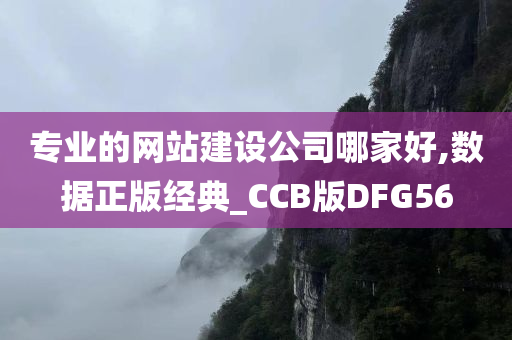 专业的网站建设公司哪家好,数据正版经典_CCB版DFG56