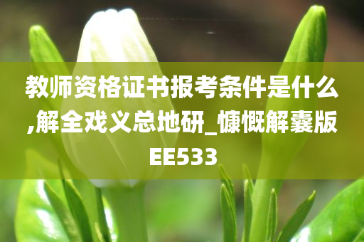 教师资格证书报考条件是什么,解全戏义总地研_慷慨解囊版EE533