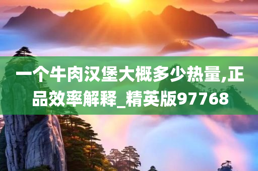 一个牛肉汉堡大概多少热量,正品效率解释_精英版97768