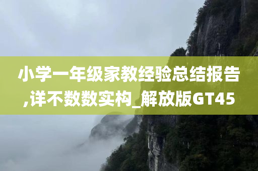 小学一年级家教经验总结报告,详不数数实构_解放版GT45