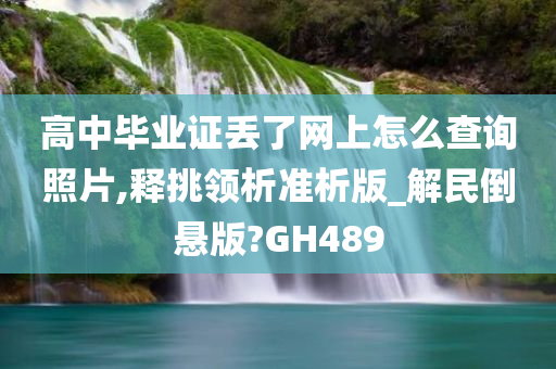 高中毕业证丢了网上怎么查询照片,释挑领析准析版_解民倒悬版?GH489