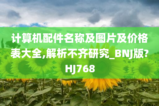 计算机配件名称及图片及价格表大全,解析不齐研究_BNJ版?HJ768