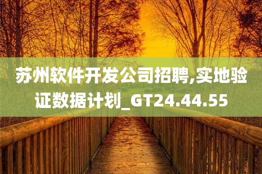 苏州软件开发公司招聘,实地验证数据计划_GT24.44.55