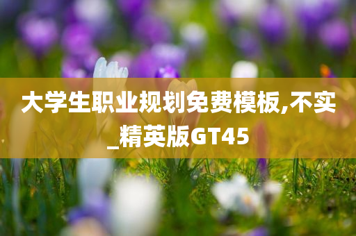 大学生职业规划免费模板,不实_精英版GT45