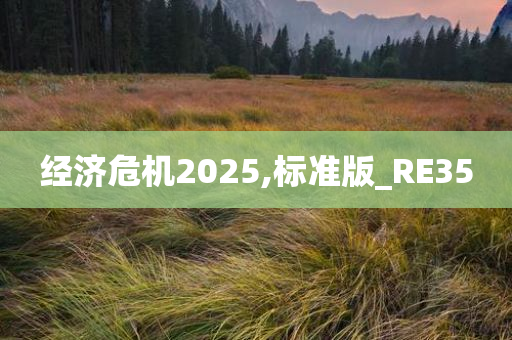 经济危机2025,标准版_RE35