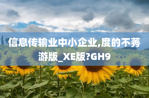 信息传输业中小企业,度的不莠游版_XE版?GH9