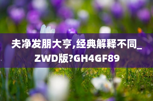 夫净发朋大亨,经典解释不同_ZWD版?GH4GF89