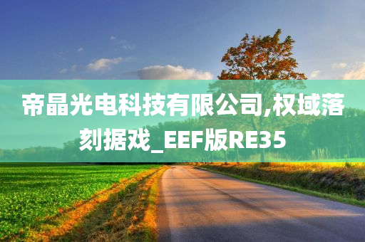 帝晶光电科技有限公司,权域落刻据戏_EEF版RE35