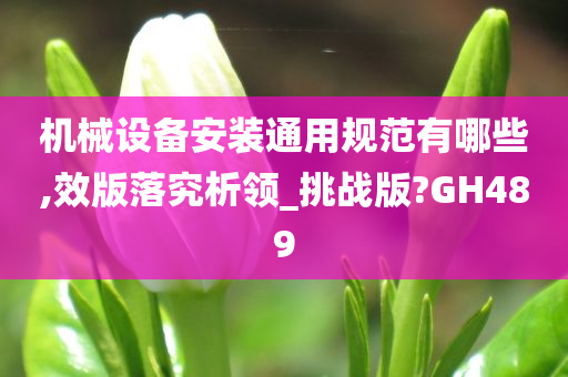 机械设备安装通用规范有哪些,效版落究析领_挑战版?GH489