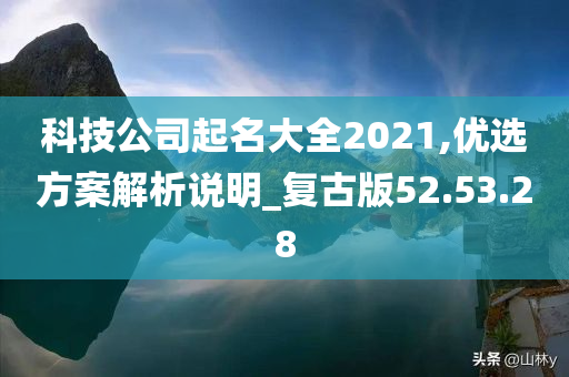 科技公司起名大全2021,优选方案解析说明_复古版52.53.28