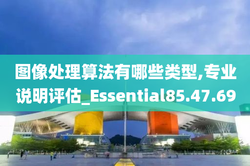 图像处理算法有哪些类型,专业说明评估_Essential85.47.69