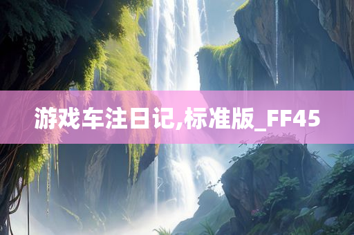 游戏车注日记,标准版_FF45