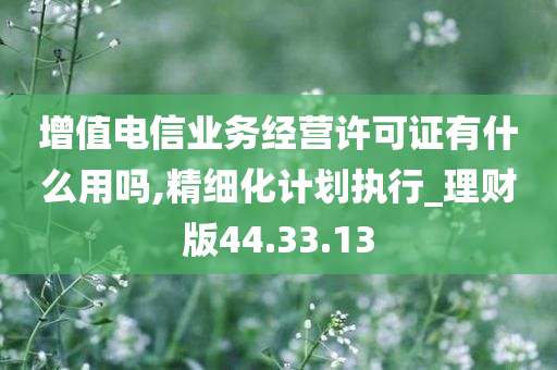 增值电信业务经营许可证有什么用吗,精细化计划执行_理财版44.33.13