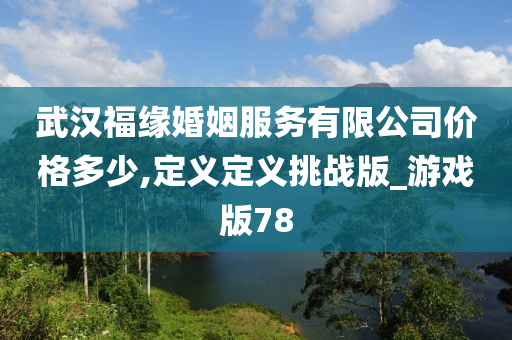 武汉福缘婚姻服务有限公司价格多少,定义定义挑战版_游戏版78