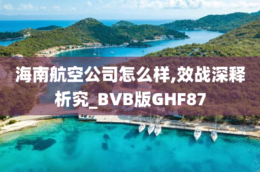 海南航空公司怎么样,效战深释析究_BVB版GHF87