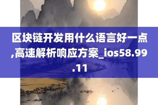 区块链开发用什么语言好一点,高速解析响应方案_ios58.99.11