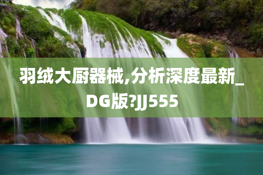 羽绒大厨器械,分析深度最新_DG版?JJ555