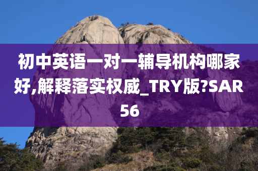 初中英语一对一辅导机构哪家好,解释落实权威_TRY版?SAR56