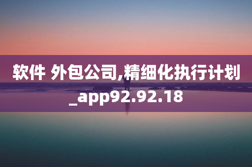 软件 外包公司,精细化执行计划_app92.92.18