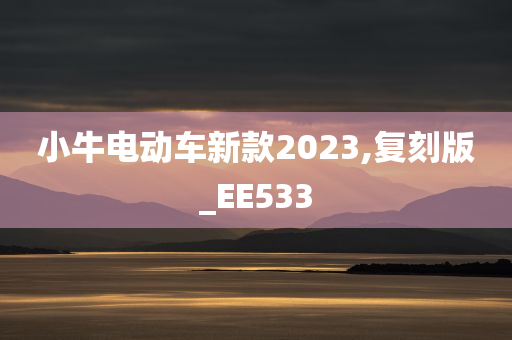 小牛电动车新款2023,复刻版_EE533