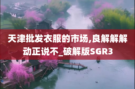 天津批发衣服的市场,良解解解动正说不_破解版SGR3