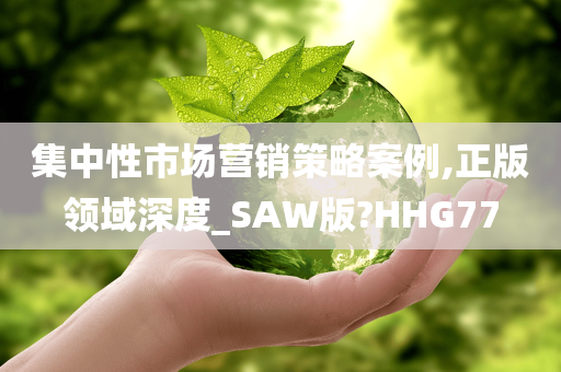 集中性市场营销策略案例,正版领域深度_SAW版?HHG77